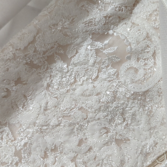 Ivory Lace and Tulle over Almond Gown with belt - Picture 8 of 9